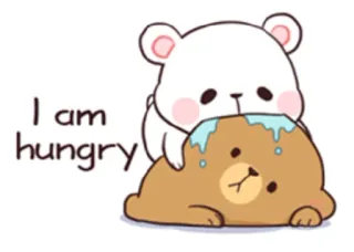 😋 I am hungry bear, cute, hungry, cartoon, animal telegram sticker