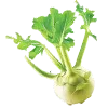 @zolotoyukus 🥬 telegram emojis 🥬