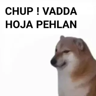 ✨ CHUP ! VADDA HOJA PEHLAN doge, meme, urdu, dog, internet meme, funny telegram sticker