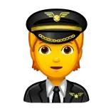 🧑✈️