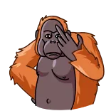 🖕 monyet, orangutan, jari tengah, kasar, gestur, hewan, stiker whatsapp sticker