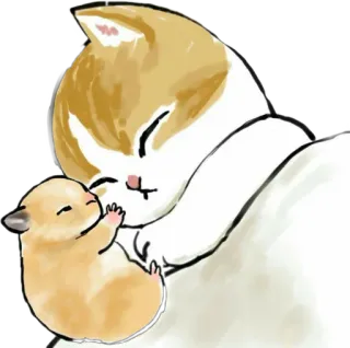 😴 cat, hamster, animals, cute, sleeping, pet, friendship telegram sticker