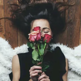 🌹 donna, rose, fiori, ritratto, amore, romanticismo, bellezza, moda telegram sticker