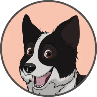 😄 dog, border collie, animal, pet, cute, cartoon, illustration telegram sticker