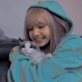 🌼 Lisa femme, chat, souriant, sweat à capuche, cheveux gris, Kpop, Lisa whatsapp sticker