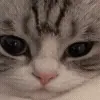 😐