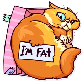 📦 I'M FAT cat, fat, animal, sticker, funny, orange cat telegram sticker