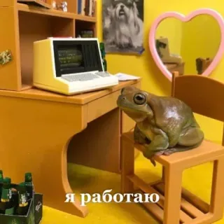 😭 Я работаю kikker, bureau, computer, werken, russische tekst telegram sticker