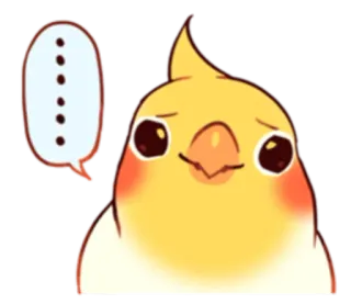 😐 นก, ค็อกกาเทล, น่ารัก, สัตว์, สัตว์เลี้ยง, สีหน้า, คำพูด telegram sticker