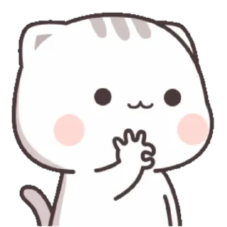 🍼 cat, cute, adorable, sticker, kawaii whatsapp sticker