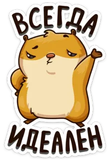 🙃 ВСЕГДА
ИДЕАЛЕН Hamster, Cartoon, Niedlich, Tier, Nagetier, Sticker telegram sticker