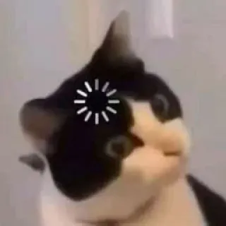 🤔 chat, chargement, internet, mème, drôle whatsapp sticker
