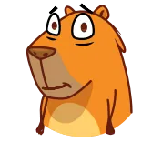 🙂 Desenho animado, Animal, Engraçado, Expressão, Personagem, Meme telegram sticker