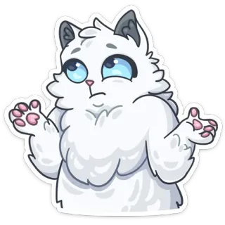 🤷‍♀️ cat, confused, white cat, cute, sticker telegram sticker