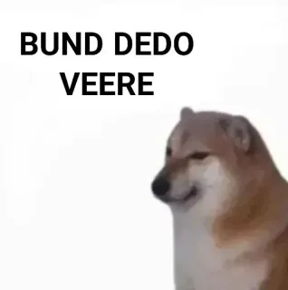 ✨ BUND DEDO VEERE telegram sticker