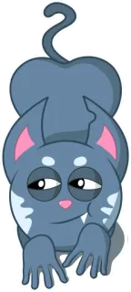 😉 gatto, animale, cartone animato, adesivo, carino, animale domestico telegram sticker