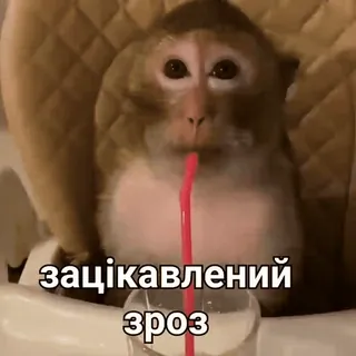 зроз :: @fStikBot telegram stickers