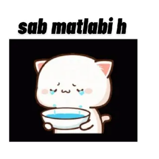 😞 sab matlabi h gato, llorando, triste, hindi, pegatina whatsapp sticker