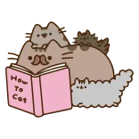 🐱
