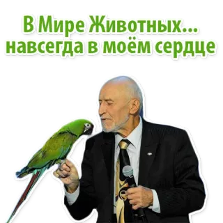 ❤️ В Мире Животных... навсегда в моём сердце สัตว์, สัตว์ป่า, ธรรมชาติ, นกแก้ว, โลกของสัตว์ whatsapp sticker