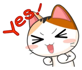 ✊ yes! gato, adesivo, sim, feliz, desenho animado, afirmativo, acordo telegram sticker