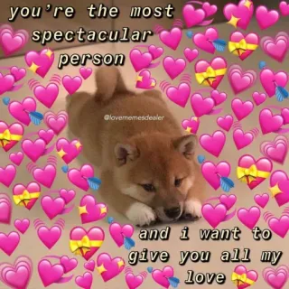 🪐 you're the most spectacular person and i want to give you all my love หมา, ความรัก, มีม, หัวใจ, น่ารัก, ความรักใคร่ telegram sticker