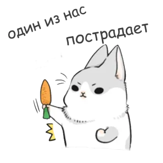 🐰 OK Hase, Karotte, süß, Tier, ok telegram sticker