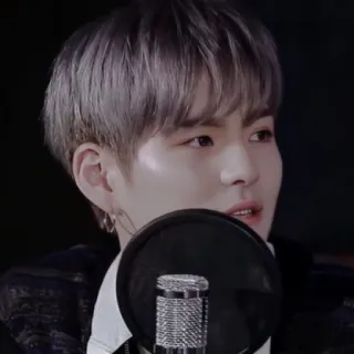 🐯 hombre, persona, micrófono, música, cantante, k-pop, kpop, ídolo, retrato telegram sticker