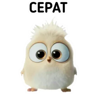 BURUNGKU telegram stickers