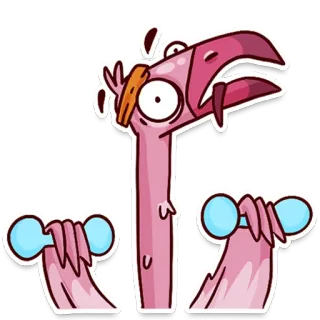 🏋️‍♂️ flamingo, desenho animado, animal, pássaro, exercício, haltere, suado telegram sticker