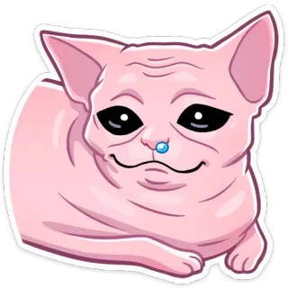 🤤 Katze, Sphynx Katze, Meme, Tier, Haustier, Nacktkatze, Lustig, Süß telegram sticker