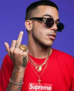 🖕 Supreme uomo, dito medio, offensivo, gioielli, occhiali da sole, rapper telegram sticker