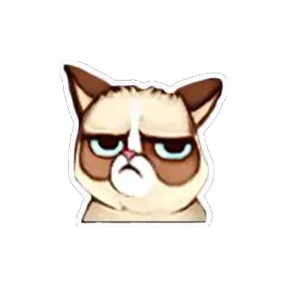 😞 Grumpy Cat 猫, 不機嫌, ミーム, 動物, ペット, インターネット telegram sticker