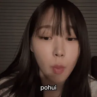 🫧 pohui telegram sticker
