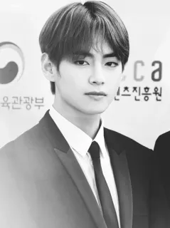 🥀 V k팝, 가수, 아이돌, 방탄, bts, 한국, 남자 telegram sticker