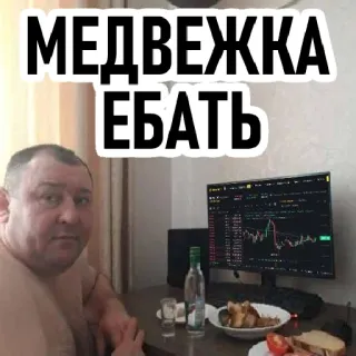🍾 МЕДВЕЖКА ЕБАТЬ oso, finanzas, bolsa, alcohol, vodka whatsapp sticker