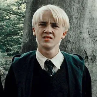 🌟 Draco Malfoy Harry Potter Draco Malfoy, Harry Potter, Personnage, Sorcier, Serpentard whatsapp sticker
