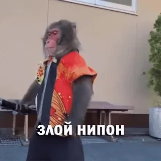 😡 ЗЛОЙ НИПОН macaco, animal, katana, japonês, primata, artes marciais, fantasia whatsapp sticker