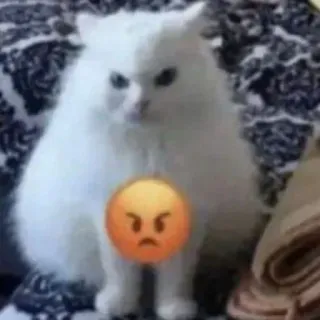 😂 猫, 絵文字, 怒り, 動物, ミーム whatsapp sticker