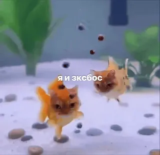 🤩 я и эксбос telegram sticker