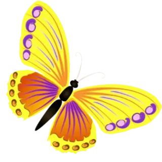 🦋 vlinder, geel, oranje, paars, insecten, natuur telegram sticker