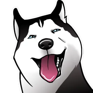 Husky memes telegram stickers