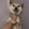 😒