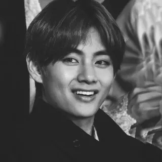🕳 V K팝, BTS, 가수, 연예인, 아티스트, 한국, 김태형 telegram sticker