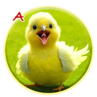 ❗️ цыпленок, птица, животное, милый, желтый, маленький цыпленок telegram sticker