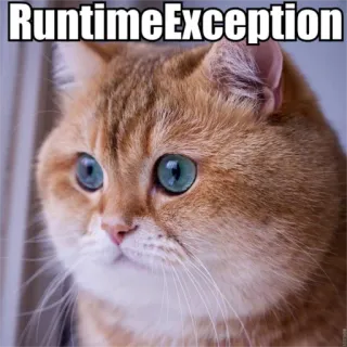 ☹️ RuntimeException cat, animal, meme, programming, exception, error, RuntimeException, humor telegram sticker