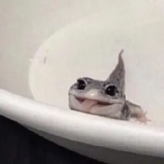 😛 gecko, gecko léopard, lézard, animal de compagnie, animal, reptile telegram sticker