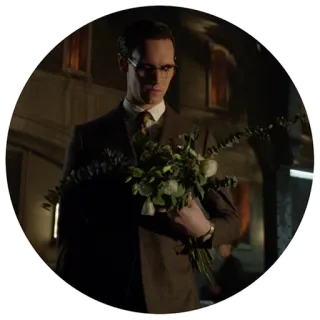💐 Edward Nygma Gotham Эдвард Нигма, Загадочник, Готэм, DC Comics, Цветы, Костюм telegram sticker