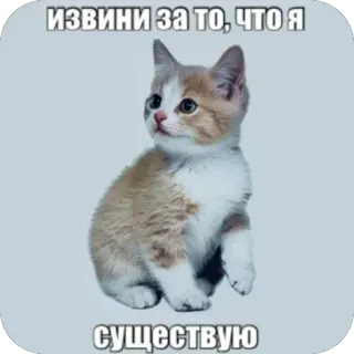 🫥 ИЗВИНИ ЗА ТО, ЧТО Я СУЩЕСТВУЮ telegram sticker