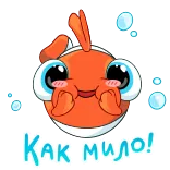 😊 КАК МИЛО! pesce, carino, adorabile, cartone animato, pesce pagliaccio telegram sticker